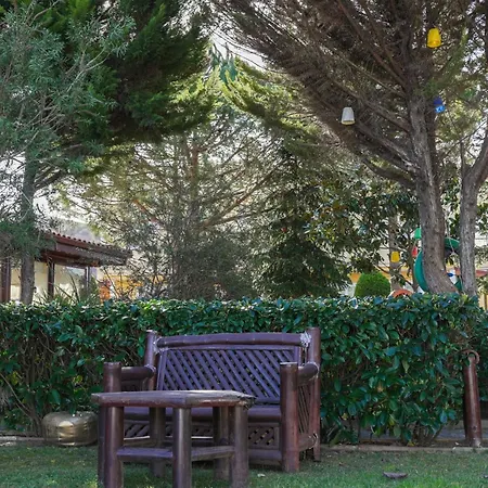 Destina Hotel Agva-3